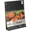imageCanson Artist Series MiTeintes Pastel Paper Gray Tones Foldover Pad 9x12 inches 24 Sheets 98lb160g  Artist Paper for Adults and Students9X12